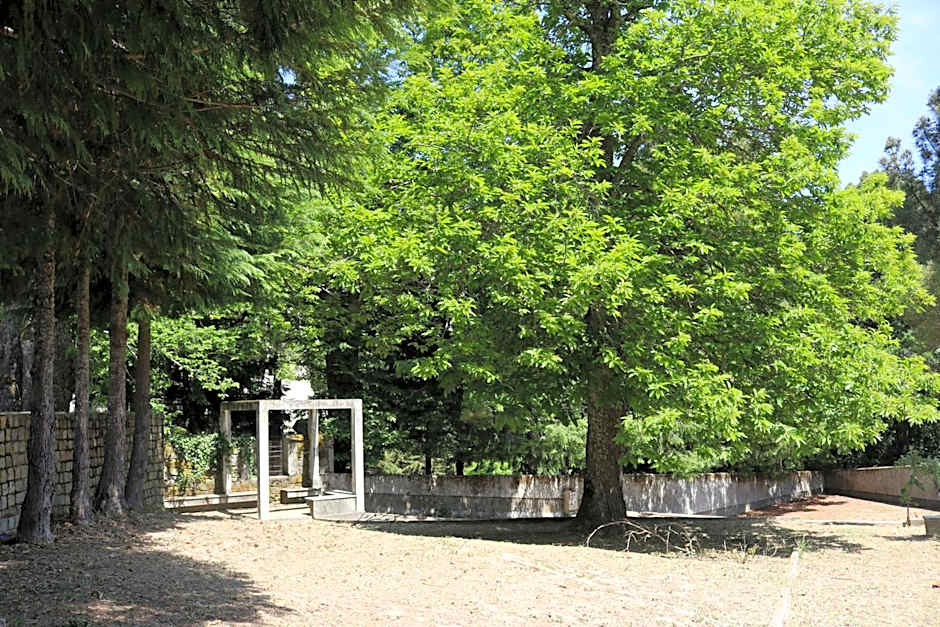 HI Guarda - Pousada de Juventude