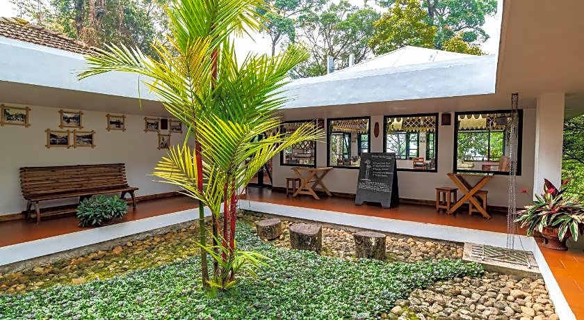 The Tall Trees Munnar