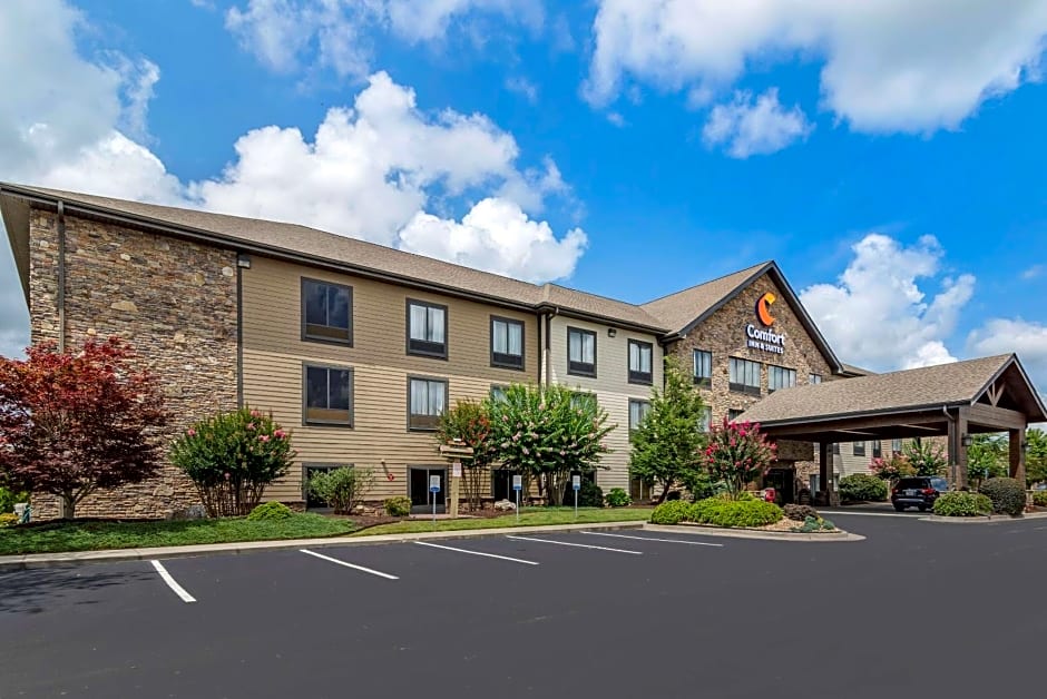 Comfort Inn & Suites Blue Ridge