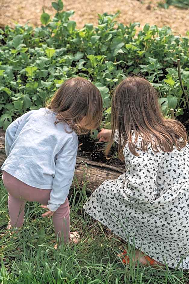 Mercure Chateau Fontainebleau Demeures de Campagne