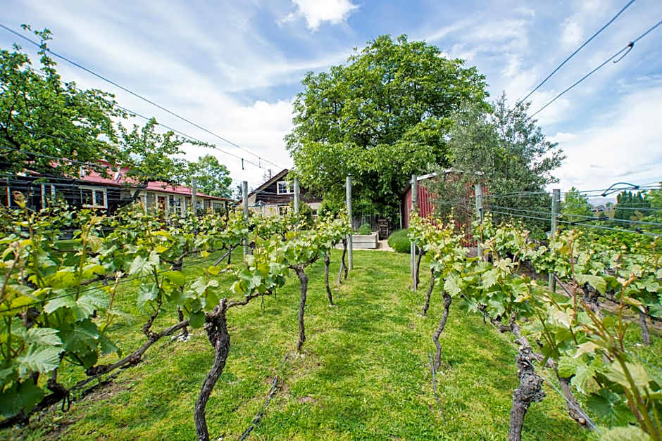 Hartley Homestead Boutique Bed & Breakfast