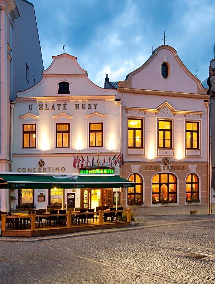 Hotel Concertino Zlatá Husa