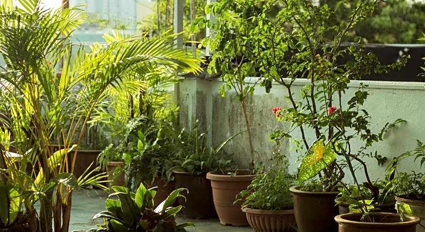 Ringo's Foyer Guest House