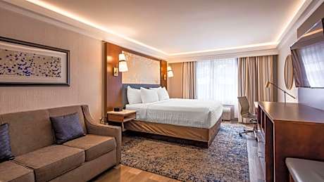 King Room with Sofa Bed