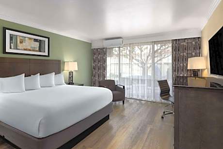 King Room - Non-Smoking