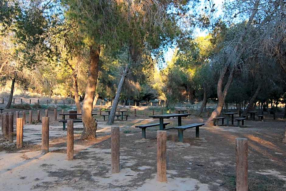 עדן במדבר - eden in desert