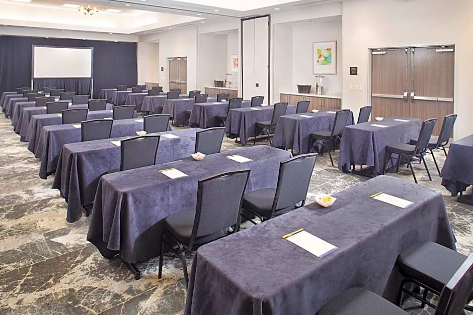 Hilton Garden Inn Dallas/Arlington South