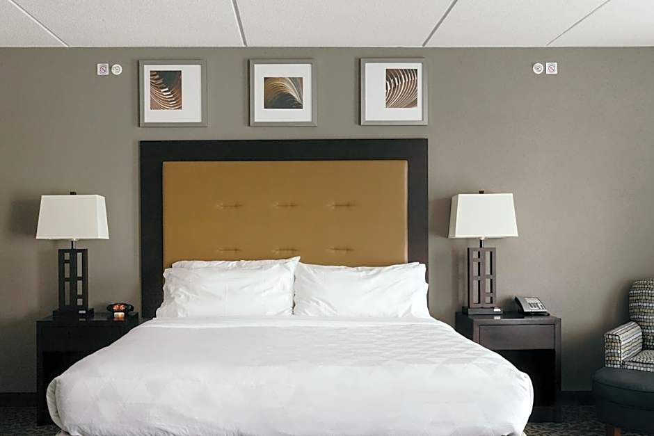 Holiday Inn and Suites East Peoria By IHG