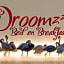 Droomzzz