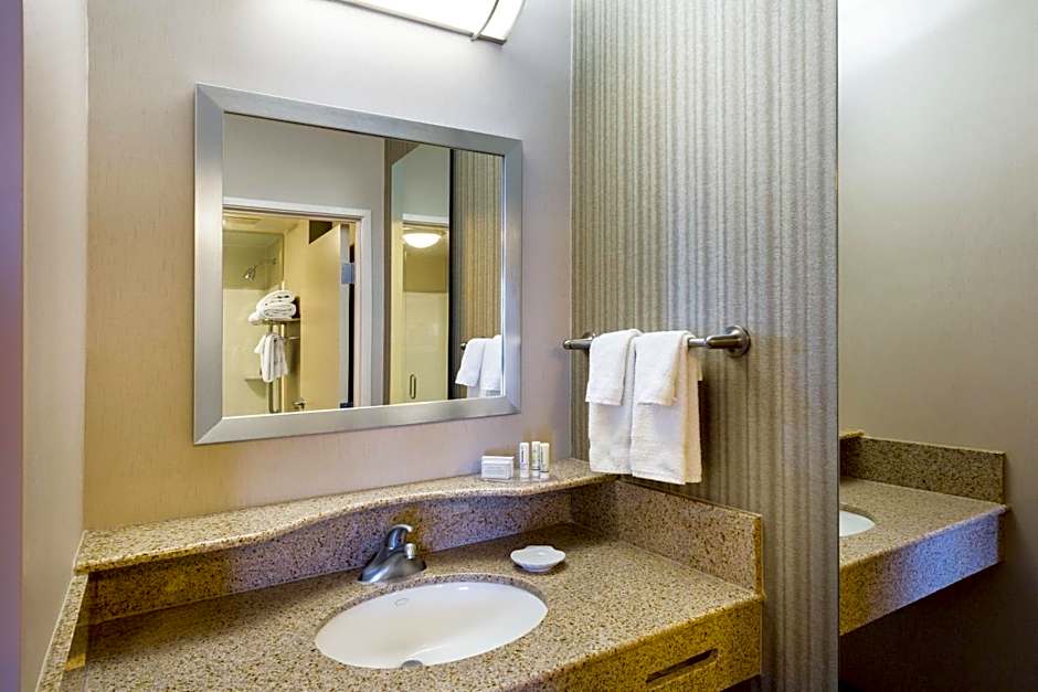 SpringHill Suites by Marriott Indianapolis Fishers