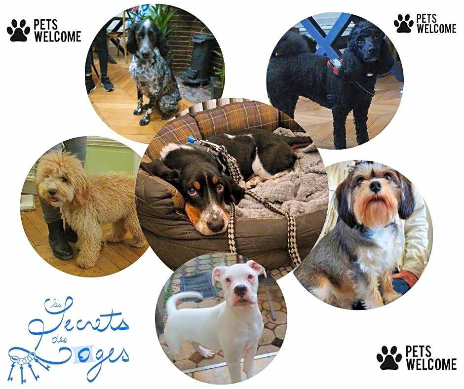 B & B Les Secrets des Loges