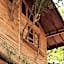 Roots Tree House