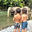 Gino's Place - Guest House & Jungle Trekking