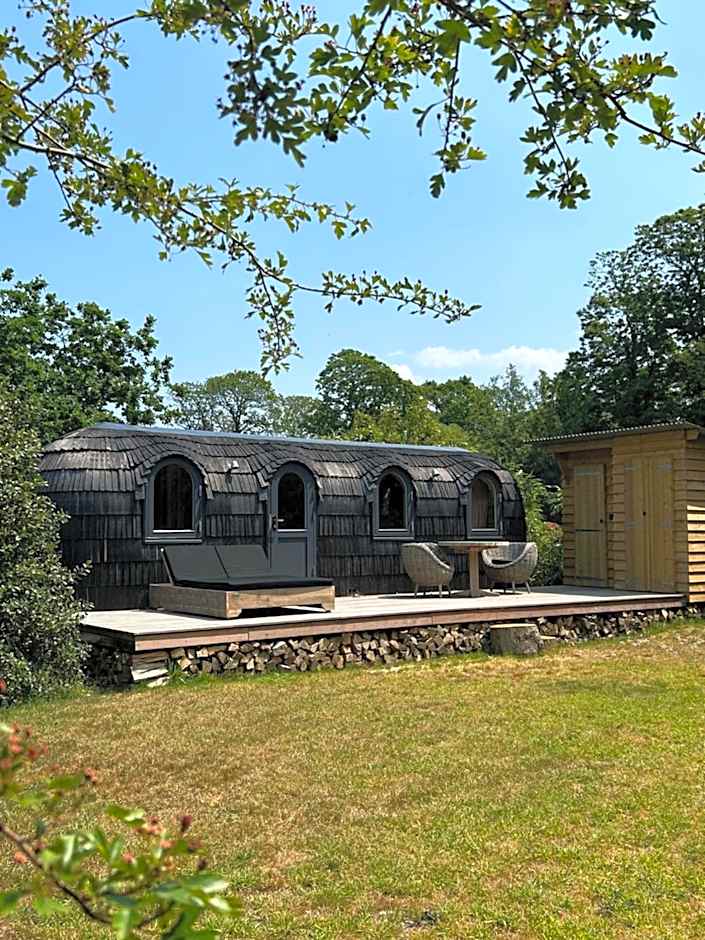 Les Pins de César - La campagne d'Etretat