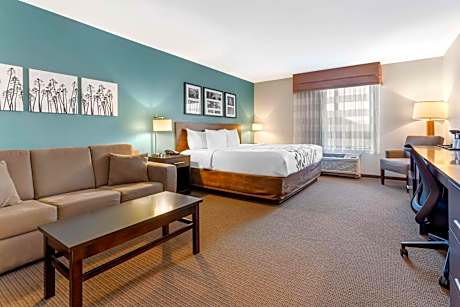 King Suite with Sofa Bed