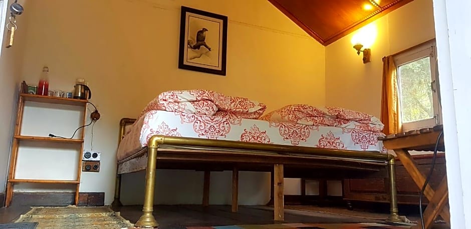 Jungle Lore Birding Lodge