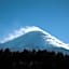 Evergreen-Fuji