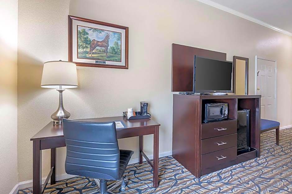 Best Western Spring Hill Inn & Suites