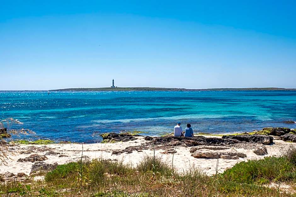 Comitas Isla del Aire