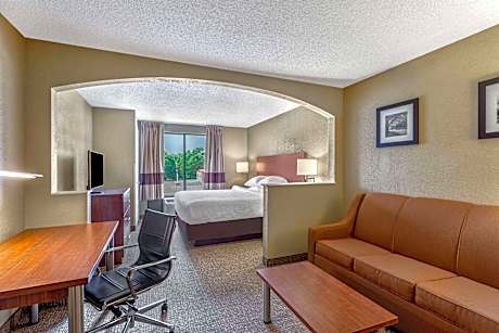 Deluxe King Room - Non-Smoking