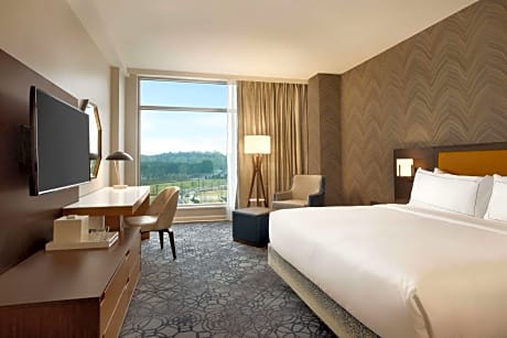 1 King Bed