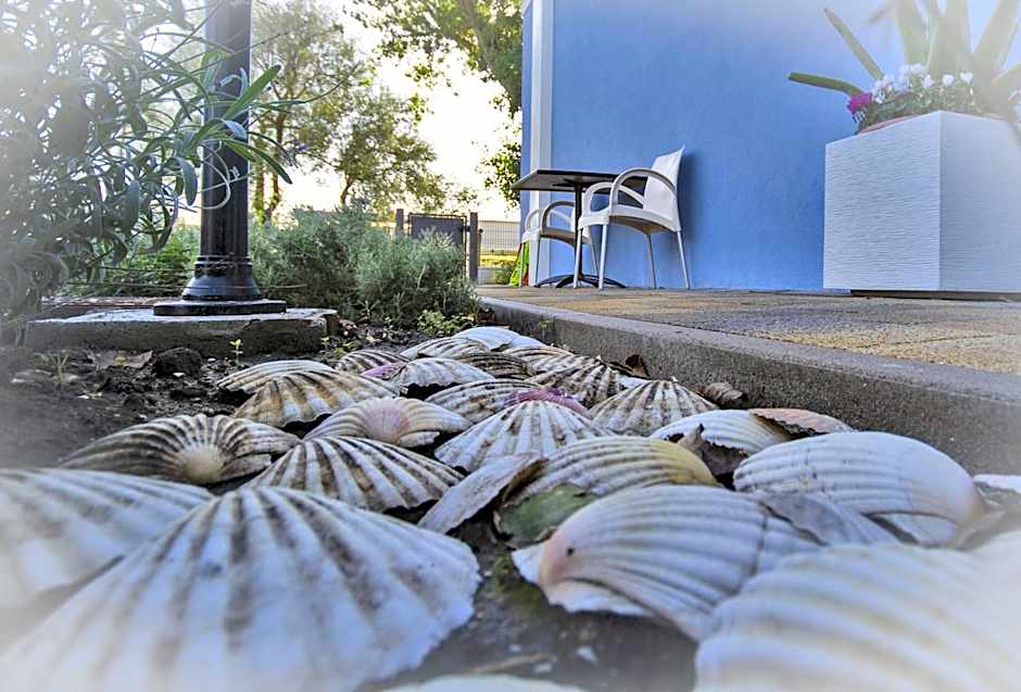 IL SOLE NEL MARE - Lido di Volano