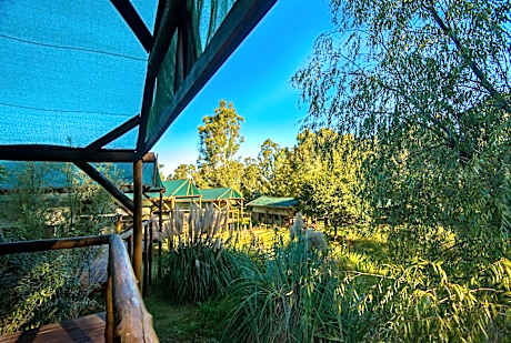Safari Tent