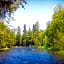 North Ironwood Acres - Black River Lodge