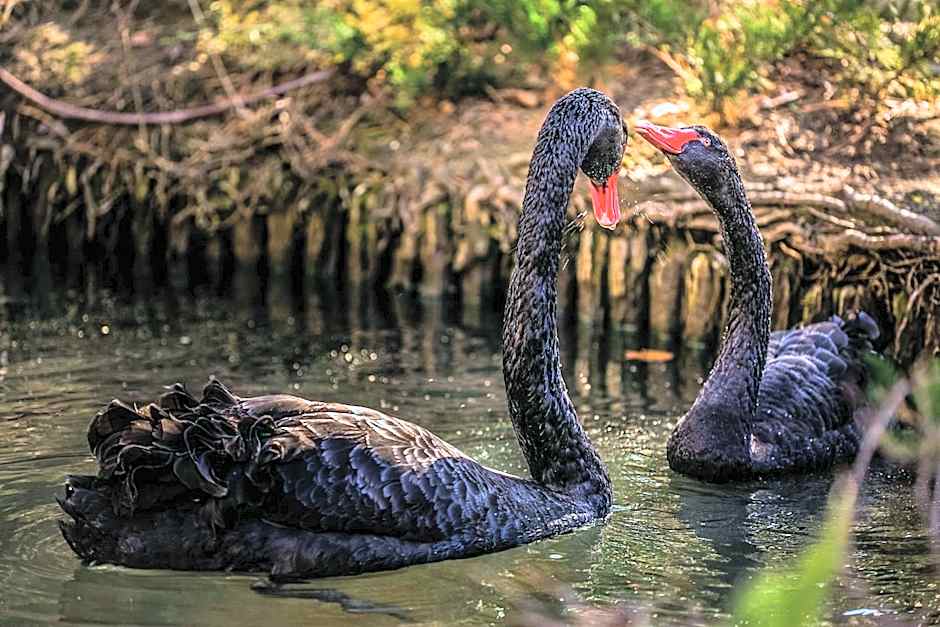 Hotel Marinela Sofia