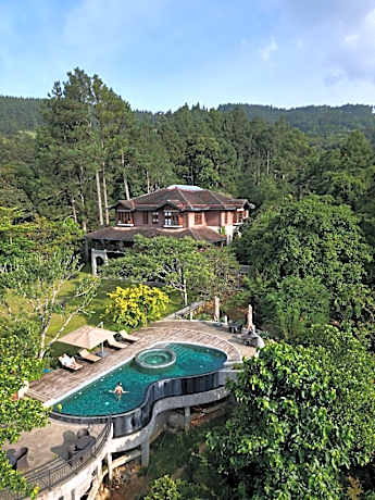 Dendrobium House