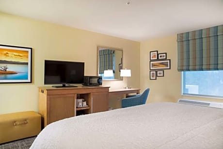 King Room W/ Microwave/Fridge