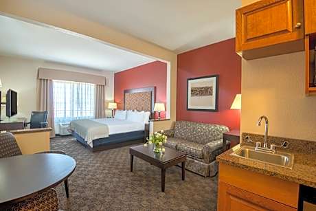 1 King Bed Studio Suite Non-Smoking