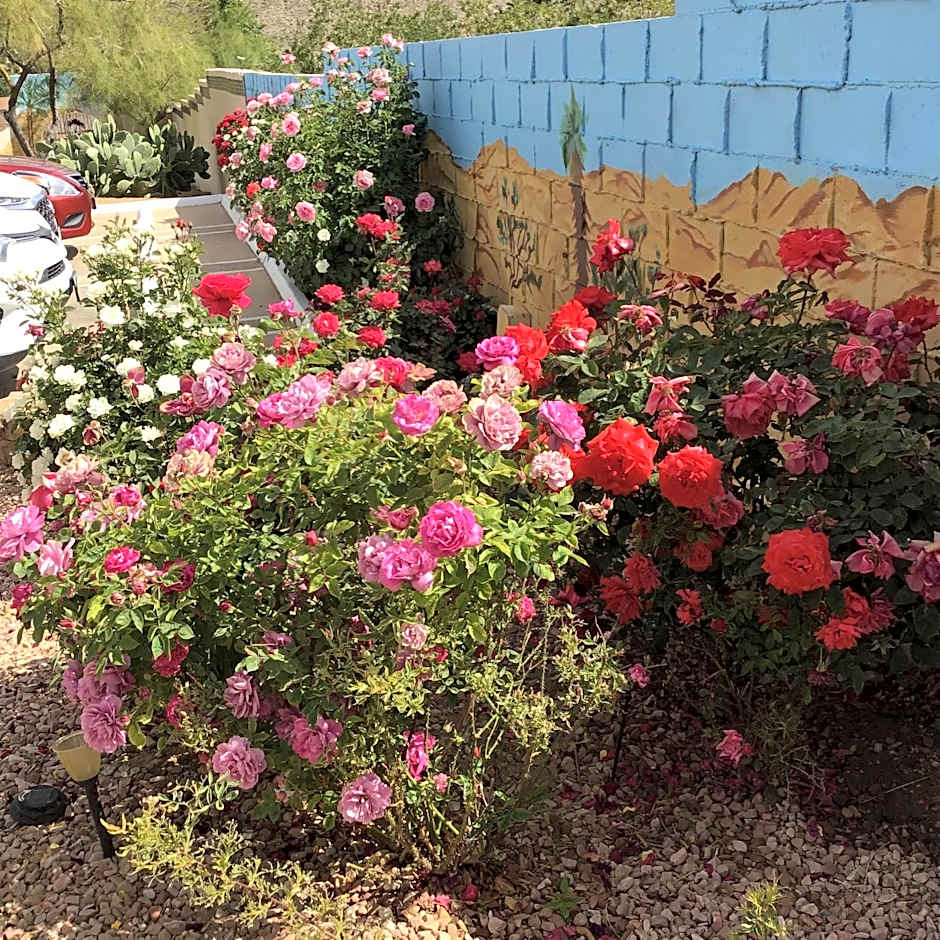 Americas Best Value Inn & Suites Joshua Tree National Park