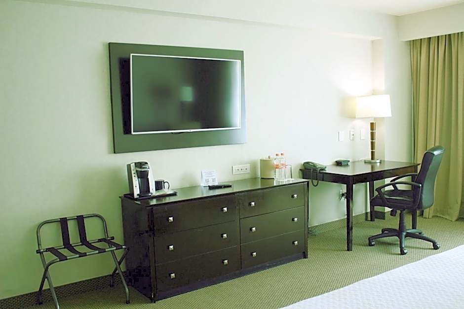 Crowne Plaza Leon By IHG