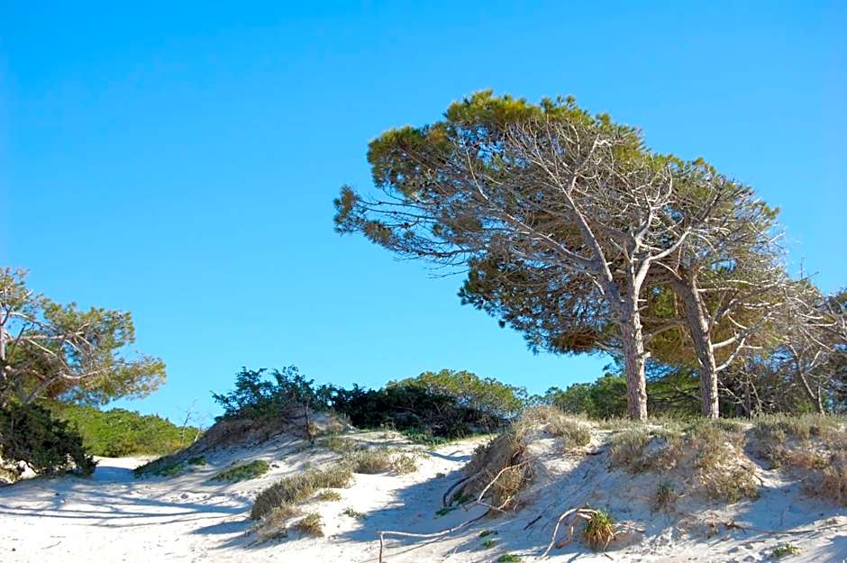 Gardenia Casa Vacanze