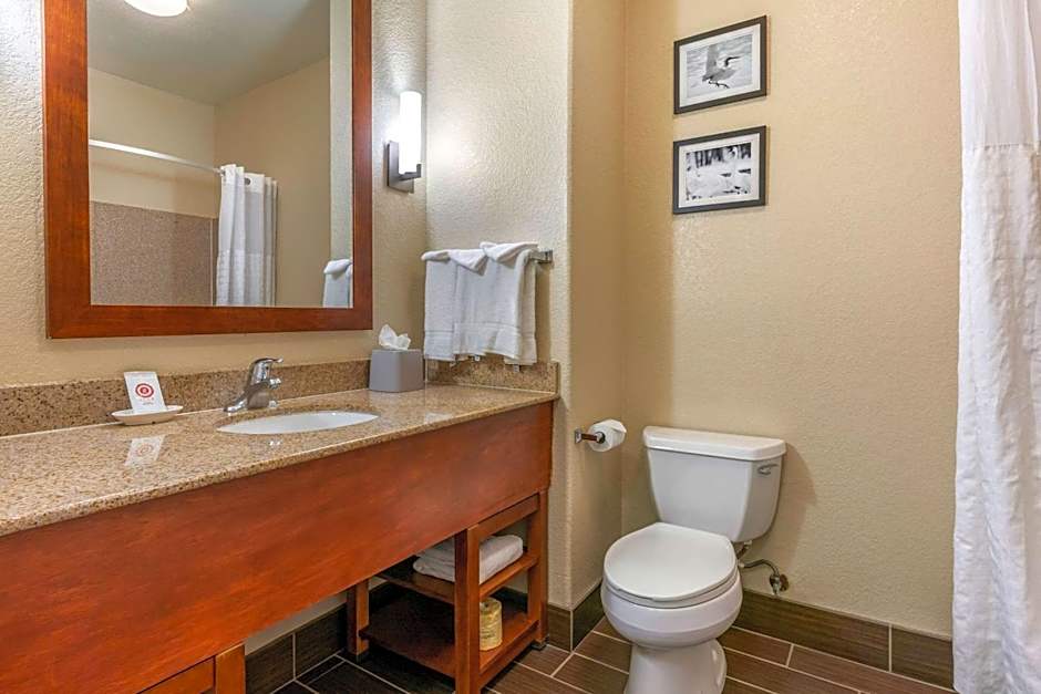 Comfort Inn and Suites Galt - Lodi North
