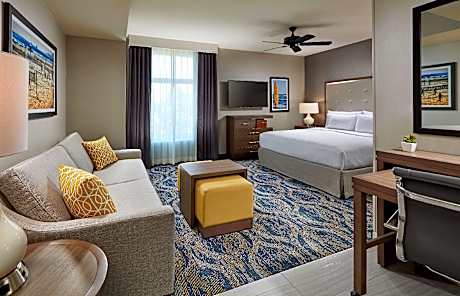 1 King Bed Studio Suite