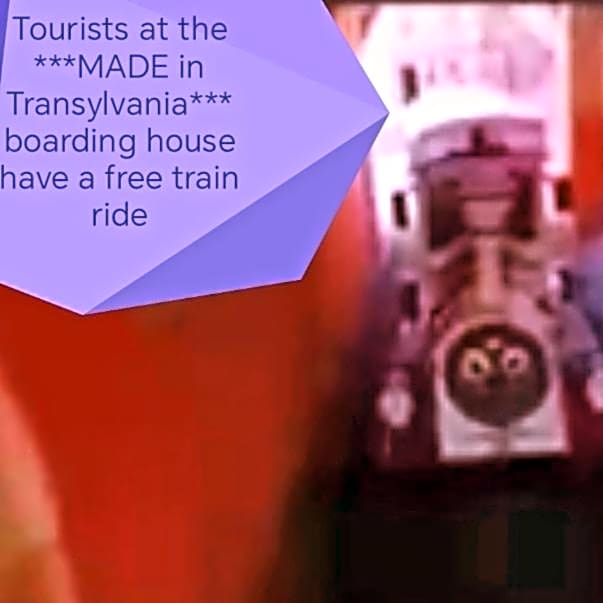 MADE in Transilvania