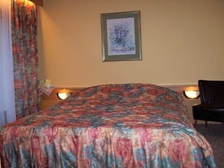 Single Room with Half Board