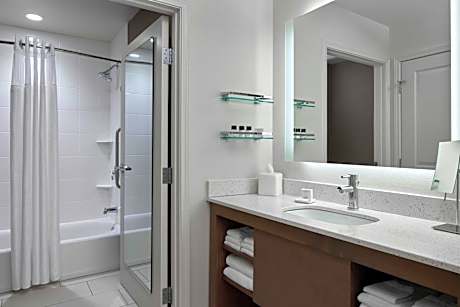 One-Bedroom King Suite