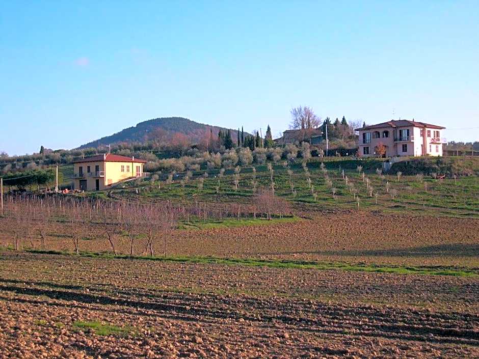 B&B Il Girasole - Rooms & House in country - air conditioned - 1500 meters from historic center