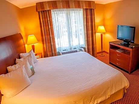 1 King Bed 1 Bdrm Whirlpool Suite