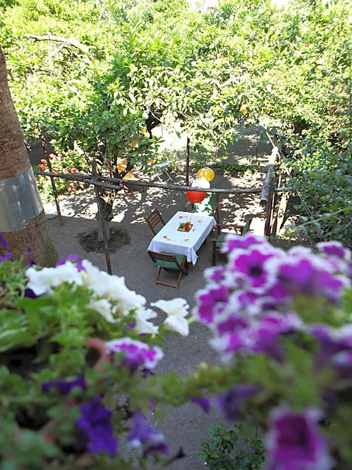 Il Giardino di Tonia - Oplontis Guest House - Bed & Garden -