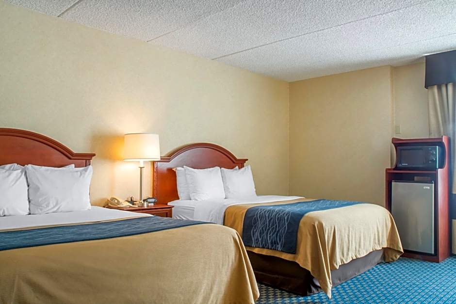Comfort Inn West Rochester