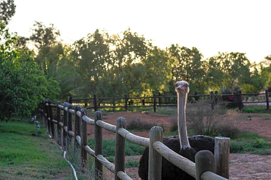 Mooiplaas Guesthouse