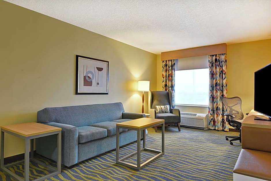 Hilton Garden Inn Orlando Lake Buena Vista