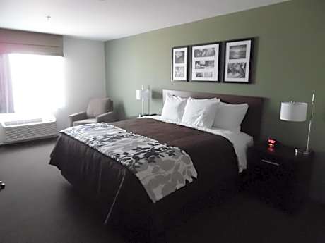 King Room - Non-Smoking