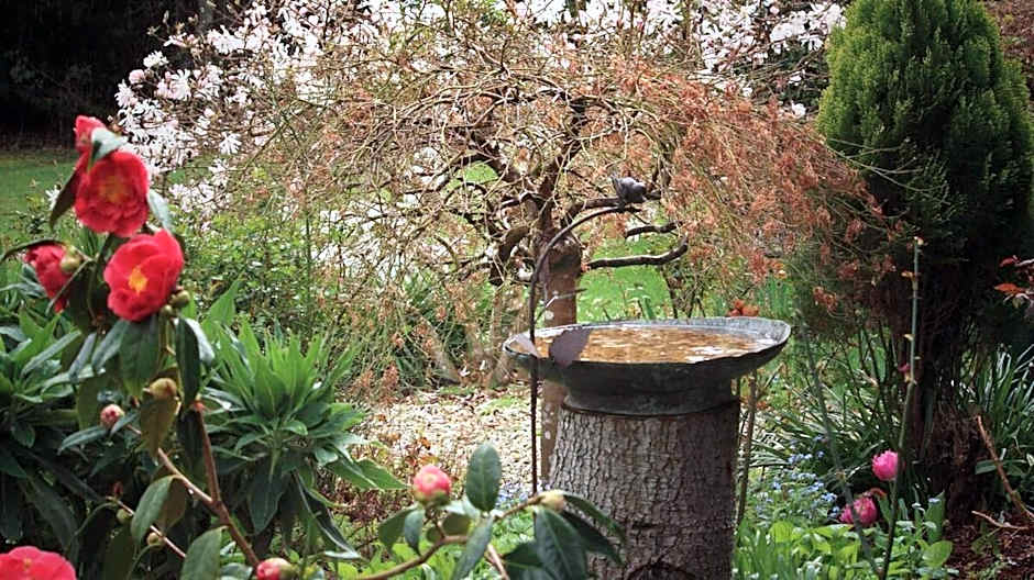 Green Gables B&B Waterfront Apartment or Garden Studio