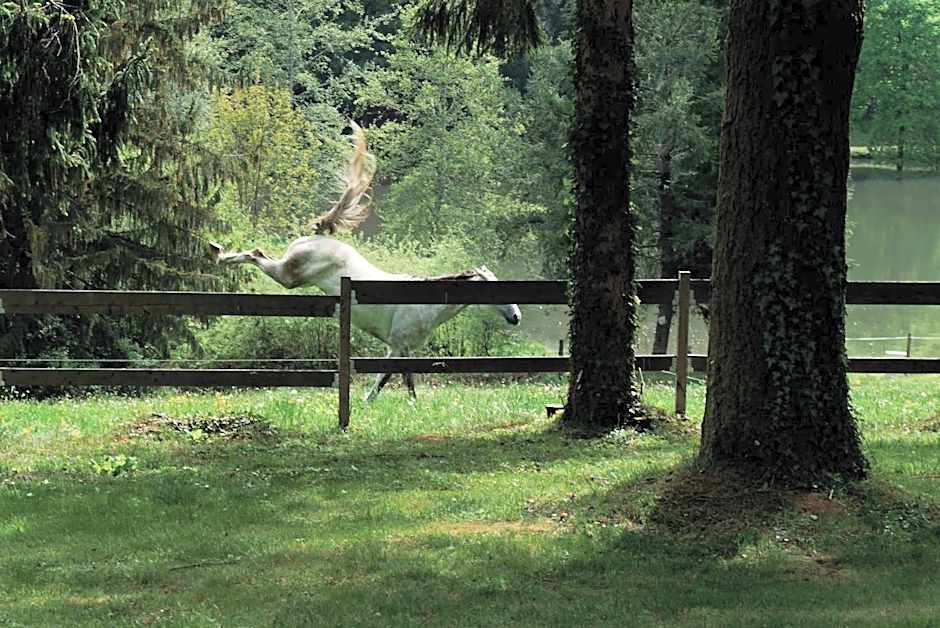 Manoir de Chantemerle