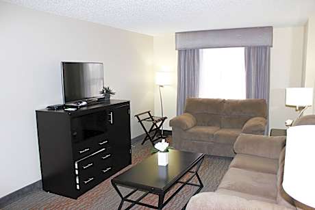 1 King Bed One Bedroom Suite